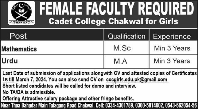 Cadet College Chakwal Jobs