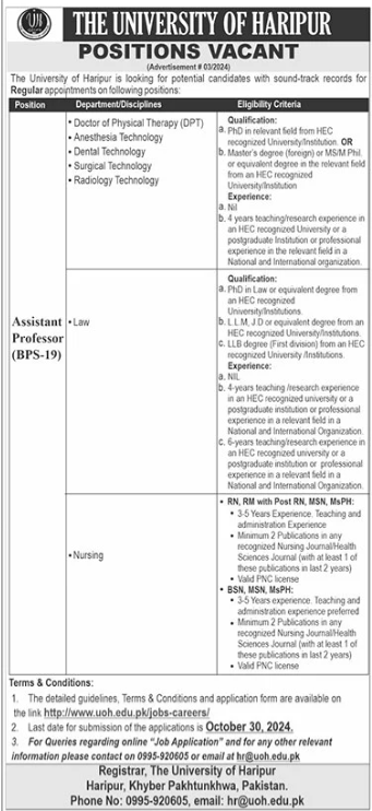 The University Of Haripur Jobs